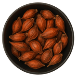  (Background Removed)