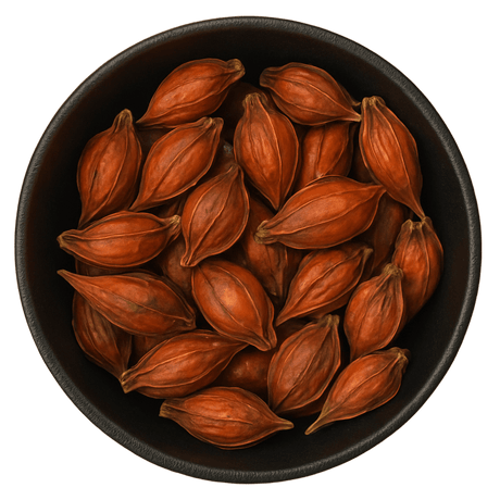  (Background Removed)