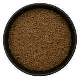  (Background Removed)