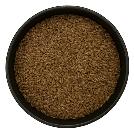  (Background Removed)