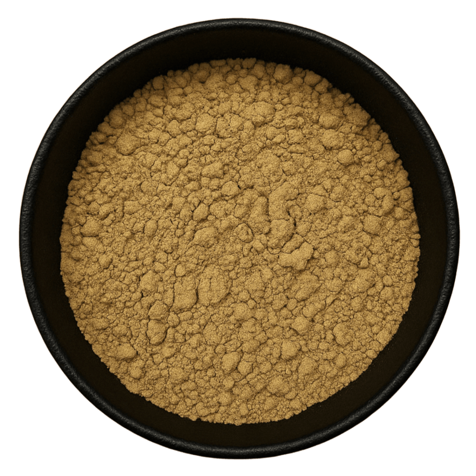  (Background Removed)