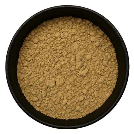  (Background Removed)