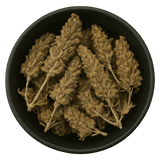  (Background Removed)