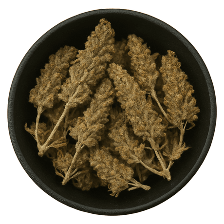  (Background Removed)