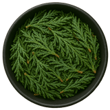  (Background Removed)