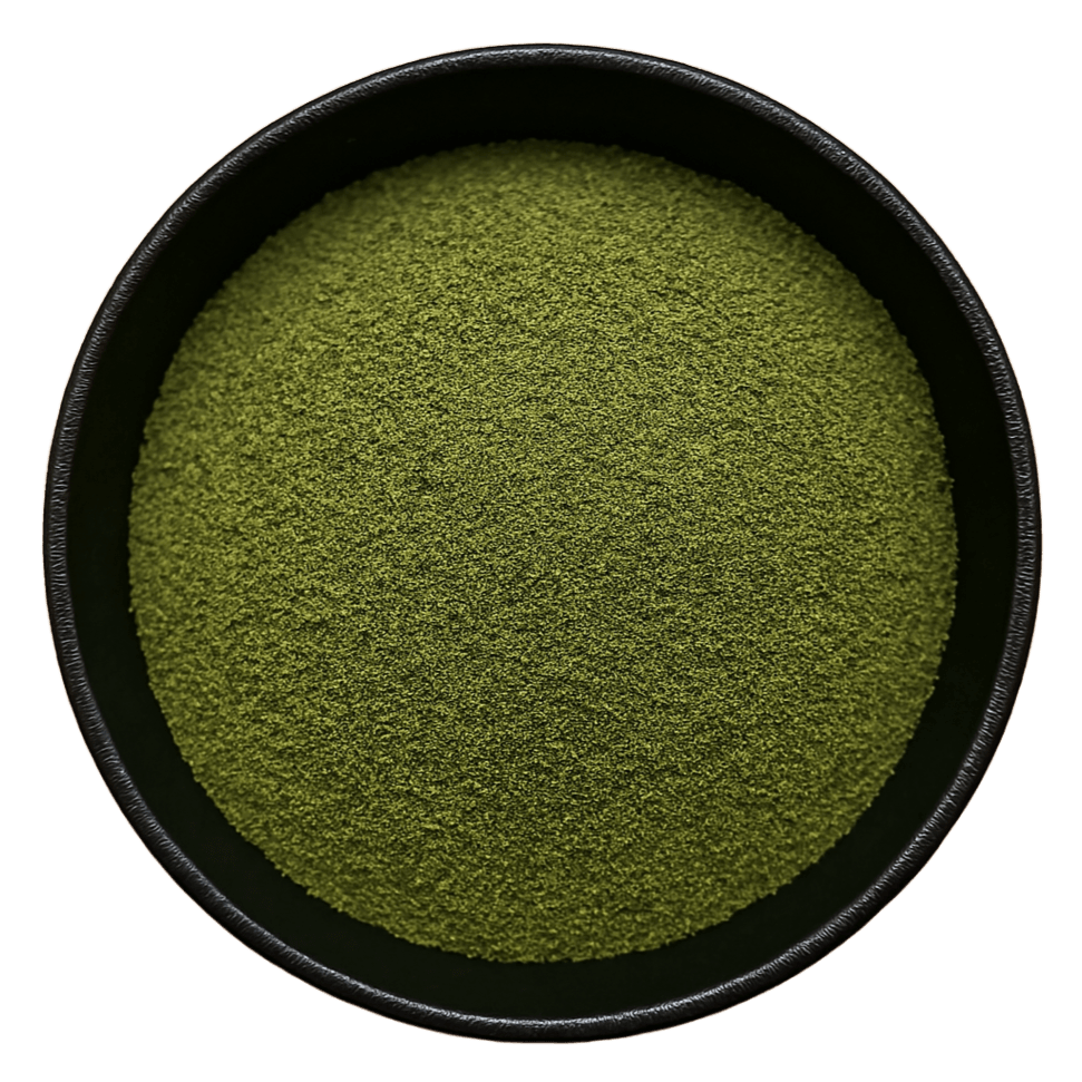  (Background Removed)