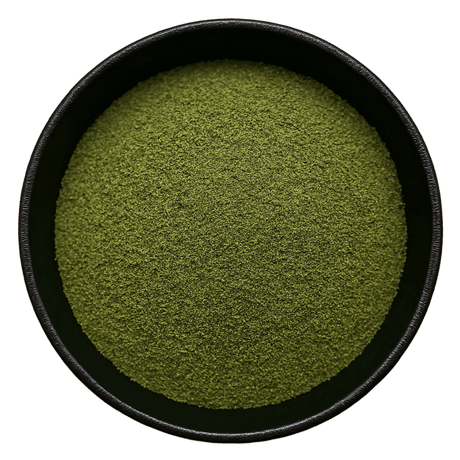  (Background Removed)