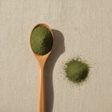 Chaparral Leaf Powder (Larrea Tridentata) | Create a luxurious, photorealistic product photograph featuring the original product naturally arranged in an elegant handcrafted wooden spoon on a soft, finely