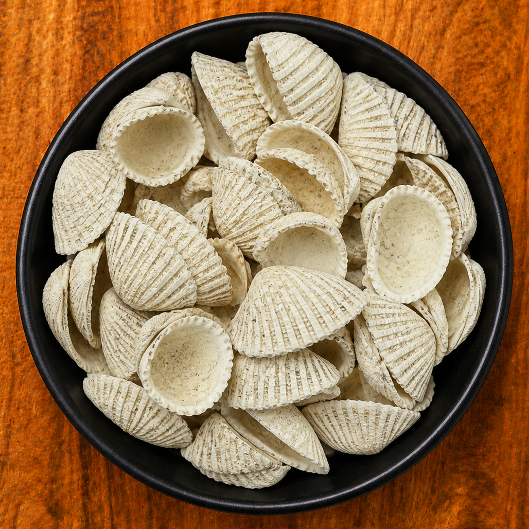 Ark Shells Whole (Arca Granosa)