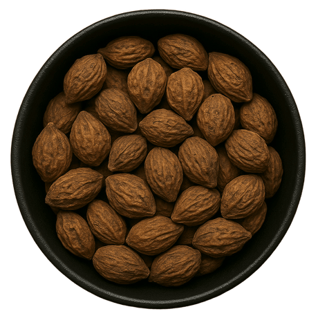  (Background Removed)