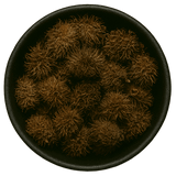  (Background Removed)