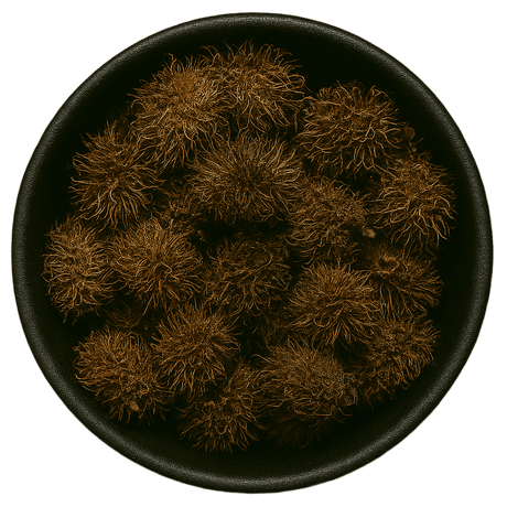  (Background Removed)