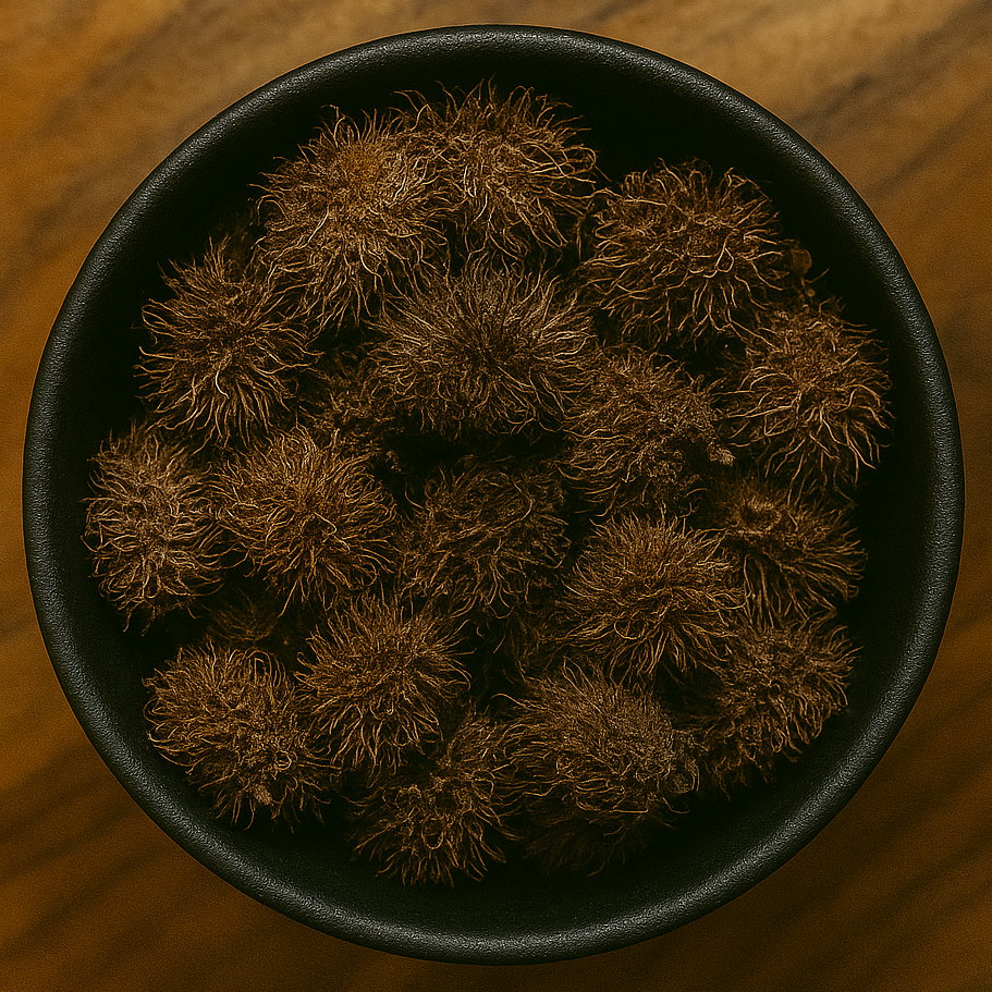 Chestnut Husk Whole (Castanea Mollissima)