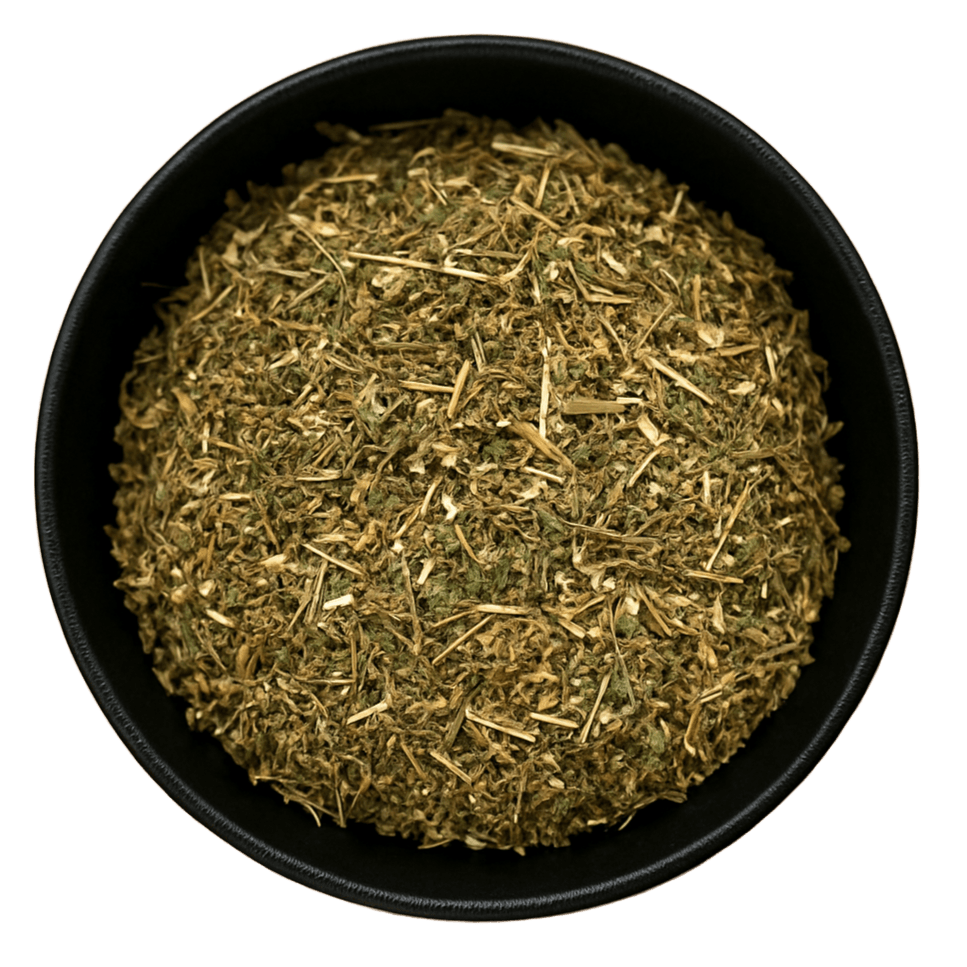  (Background Removed)