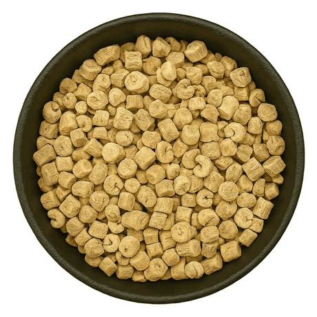  (Background Removed)