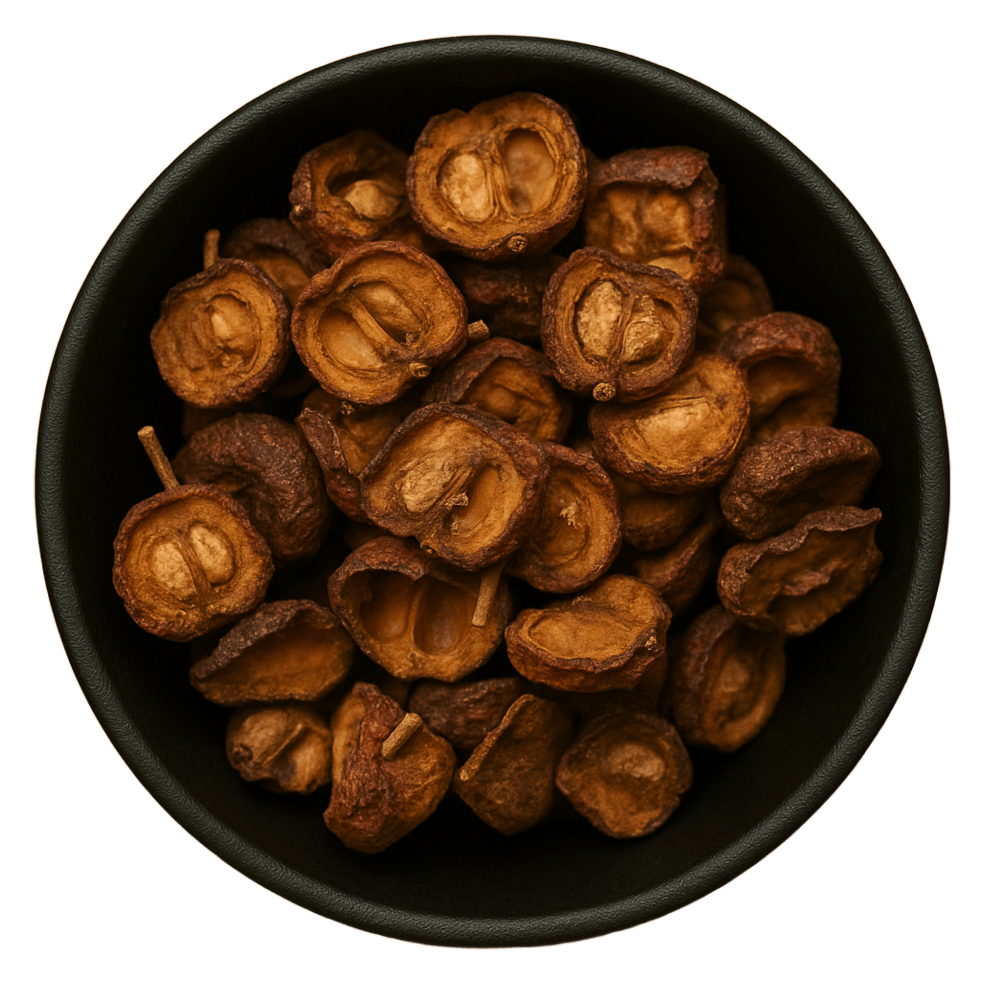  (Background Removed)