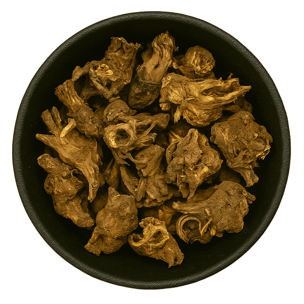  (Background Removed)