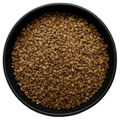  (Background Removed)