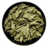  (Background Removed)