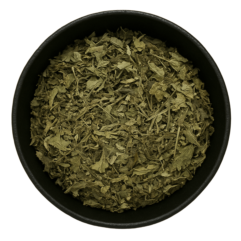  (Background Removed)