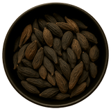  (Background Removed)