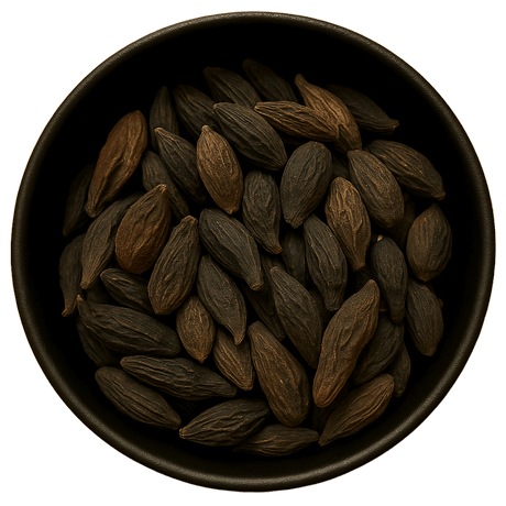  (Background Removed)