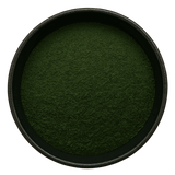  (Background Removed)