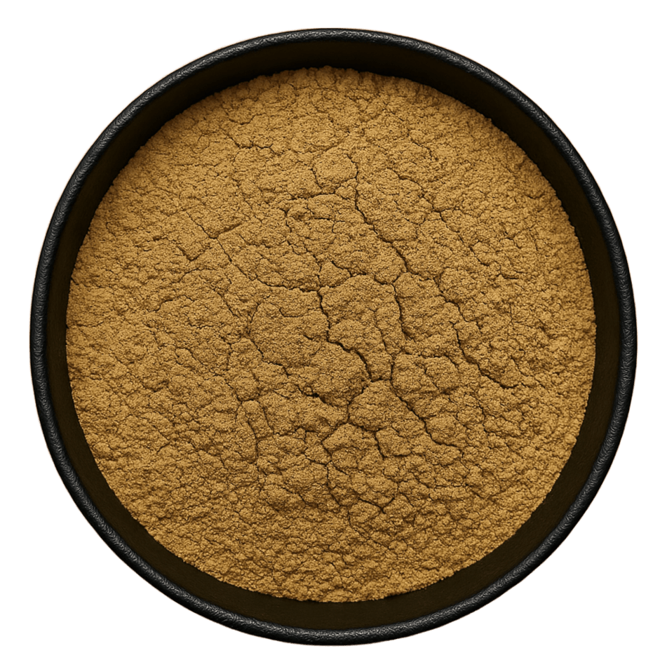  (Background Removed)