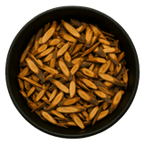  (Background Removed)