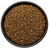  (Background Removed)