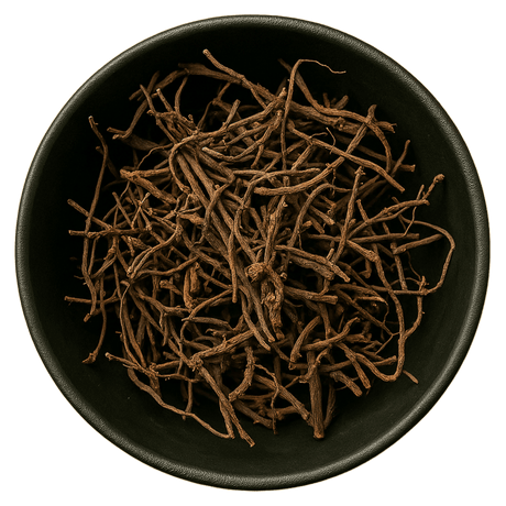  (Background Removed)