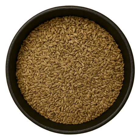  (Background Removed)