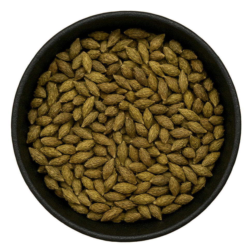  (Background Removed)