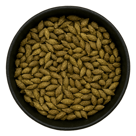  (Background Removed)