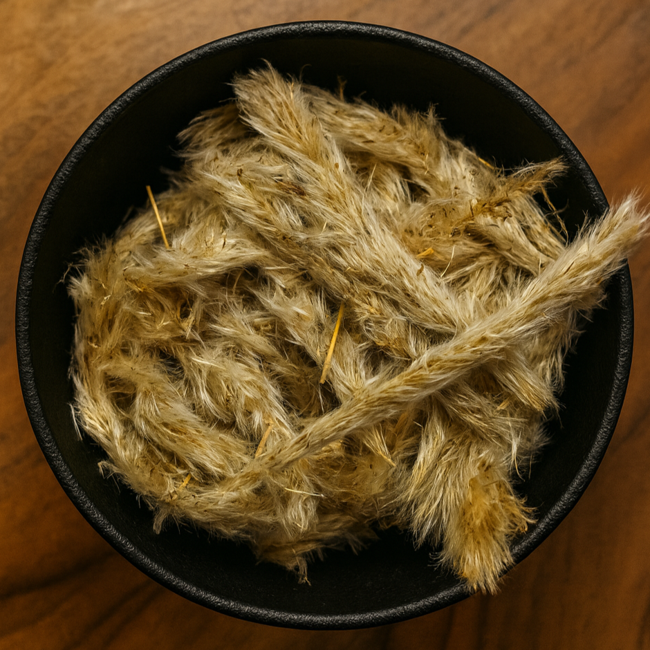 Cogon Grass Flower Whole (Imperata Cylindrica)
