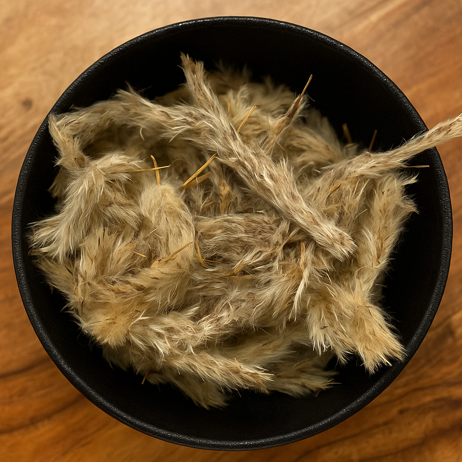 Cogongrass Flower Whole (Imperata Cylindrica)