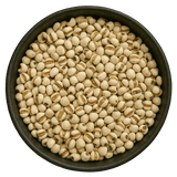  (Background Removed)