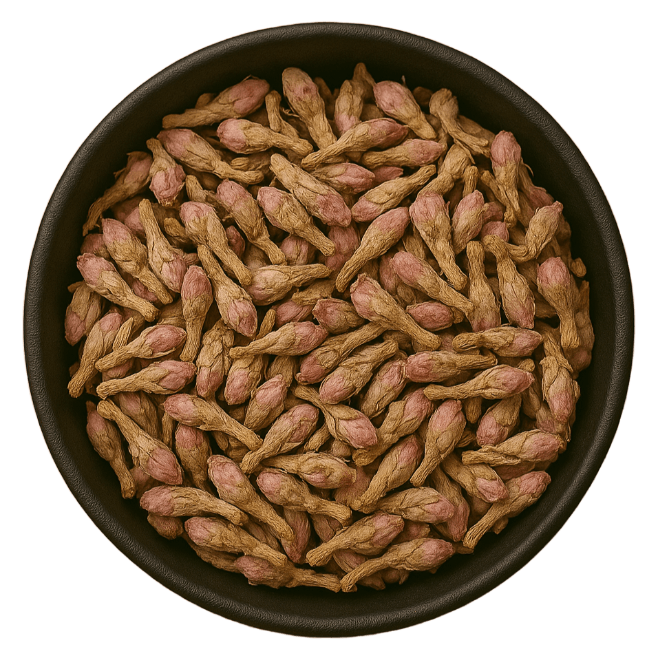  (Background Removed)