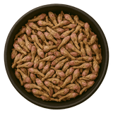  (Background Removed)