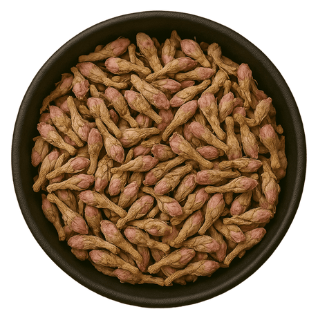  (Background Removed)