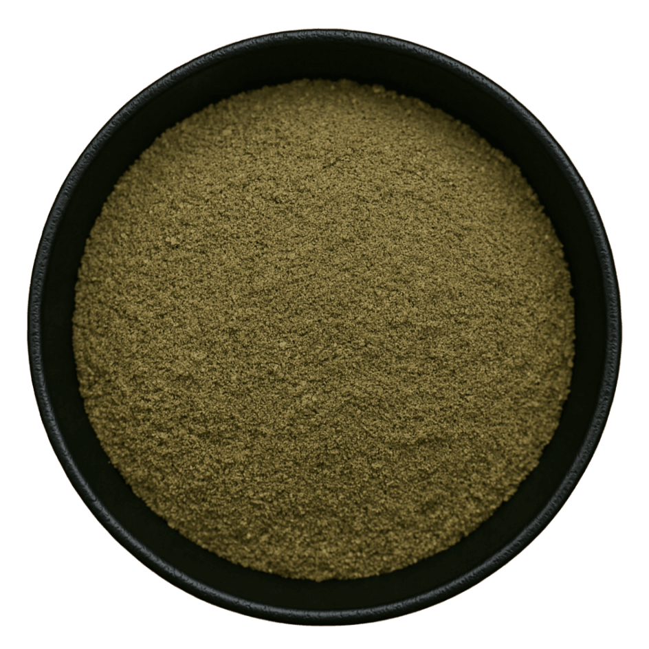  (Background Removed)