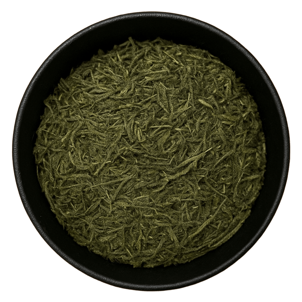  (Background Removed)