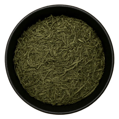  (Background Removed)