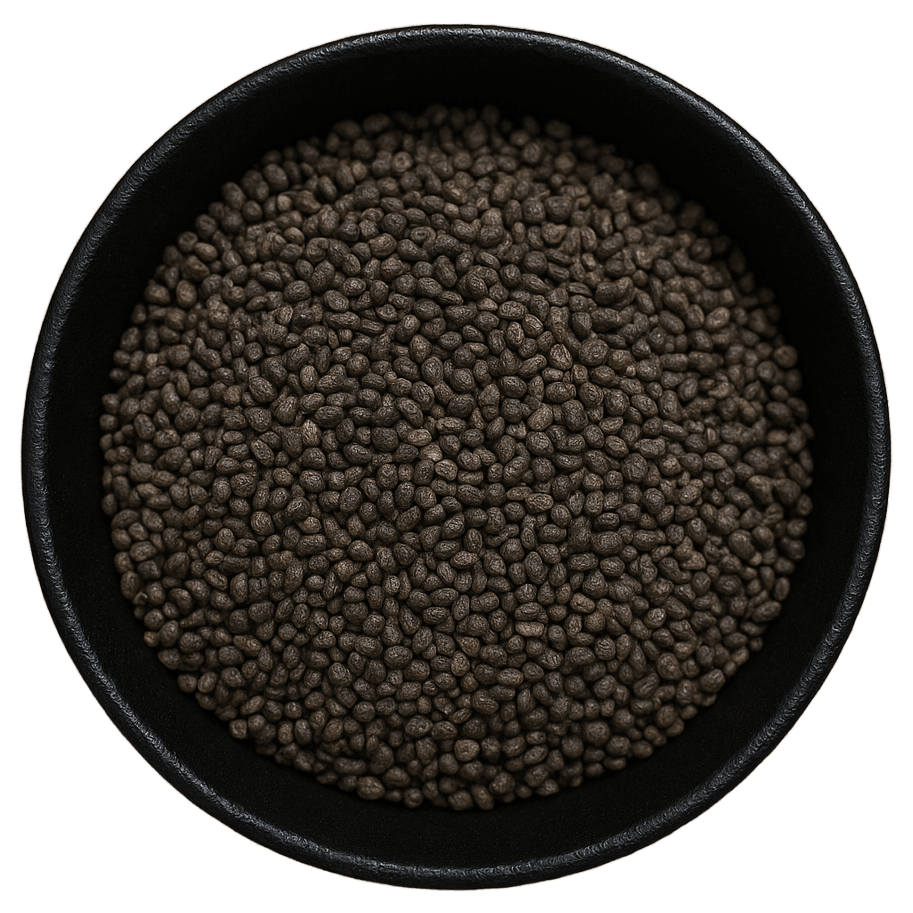  (Background Removed)