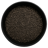  (Background Removed)