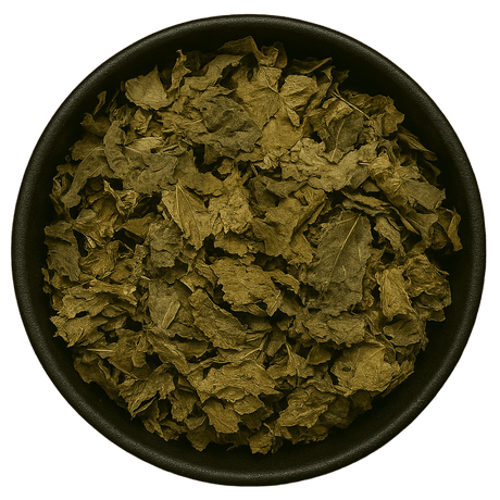  (Background Removed)