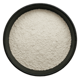  (Background Removed)