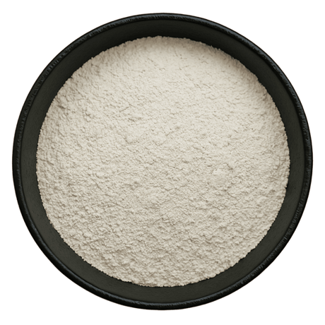  (Background Removed)