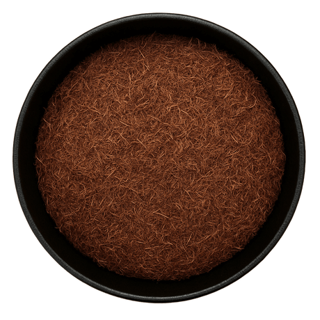  (Background Removed)