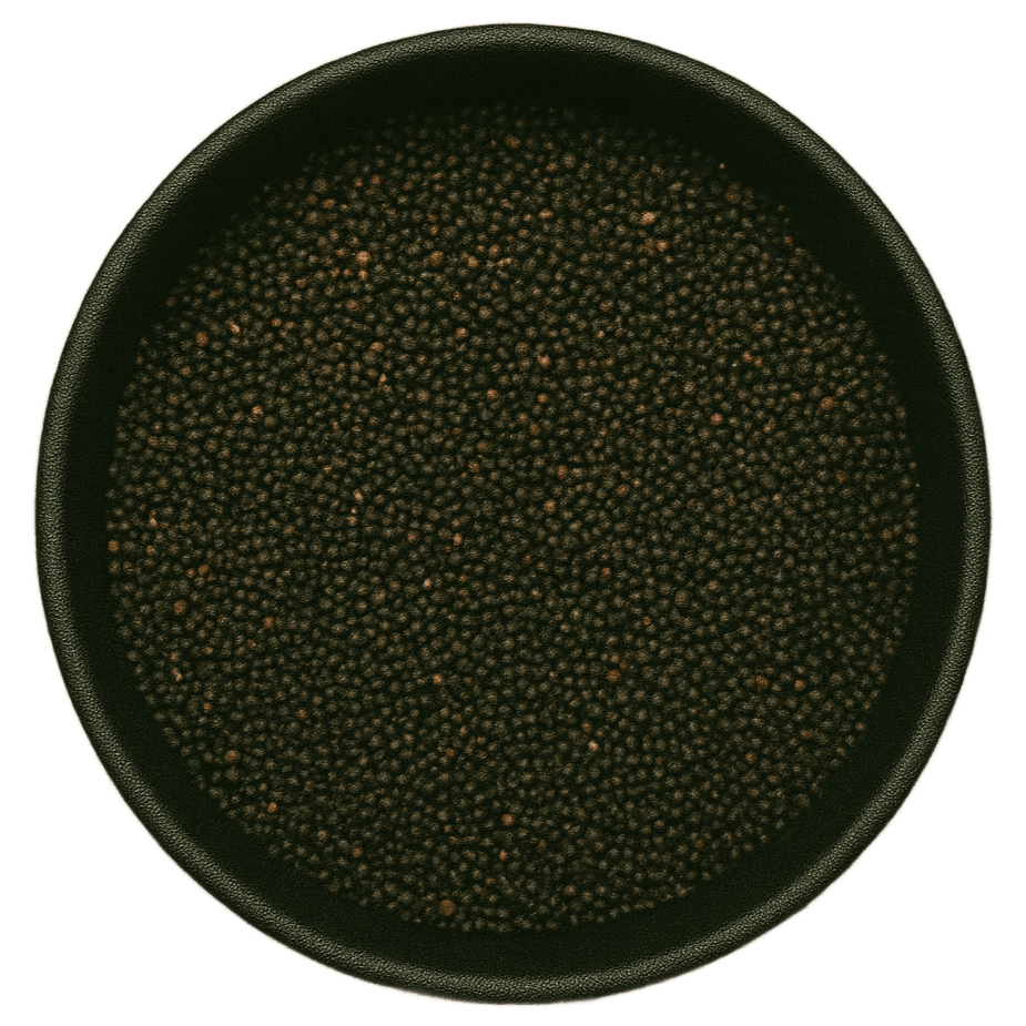  (Background Removed)